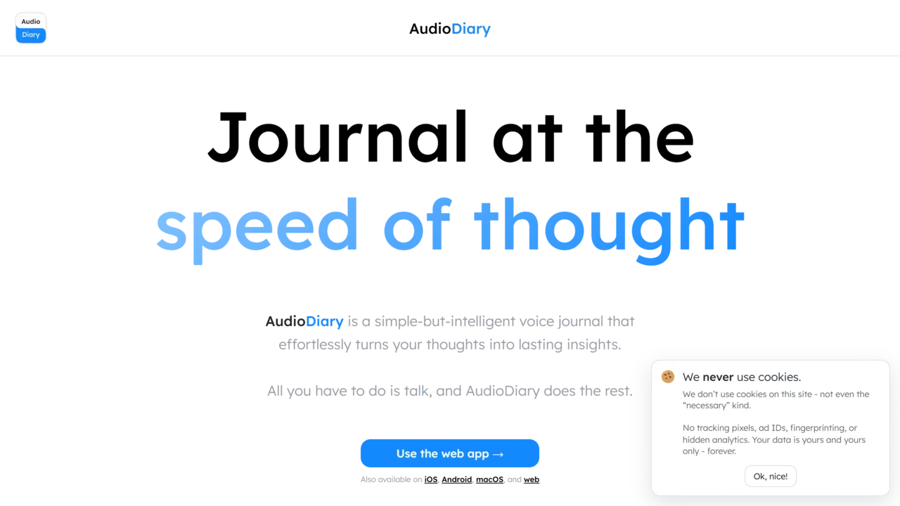 Audio Diary