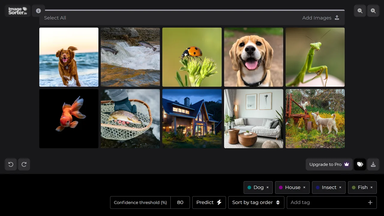 ImageSorter
