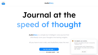 Audio Diary