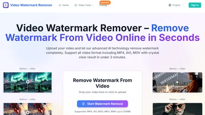 Video Watermark Remover