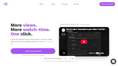 YouTube Transcripts