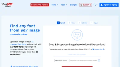 What font is