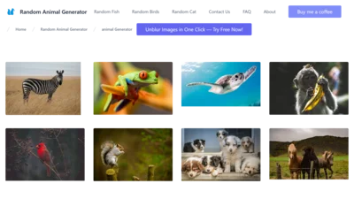 Random Animal Generator